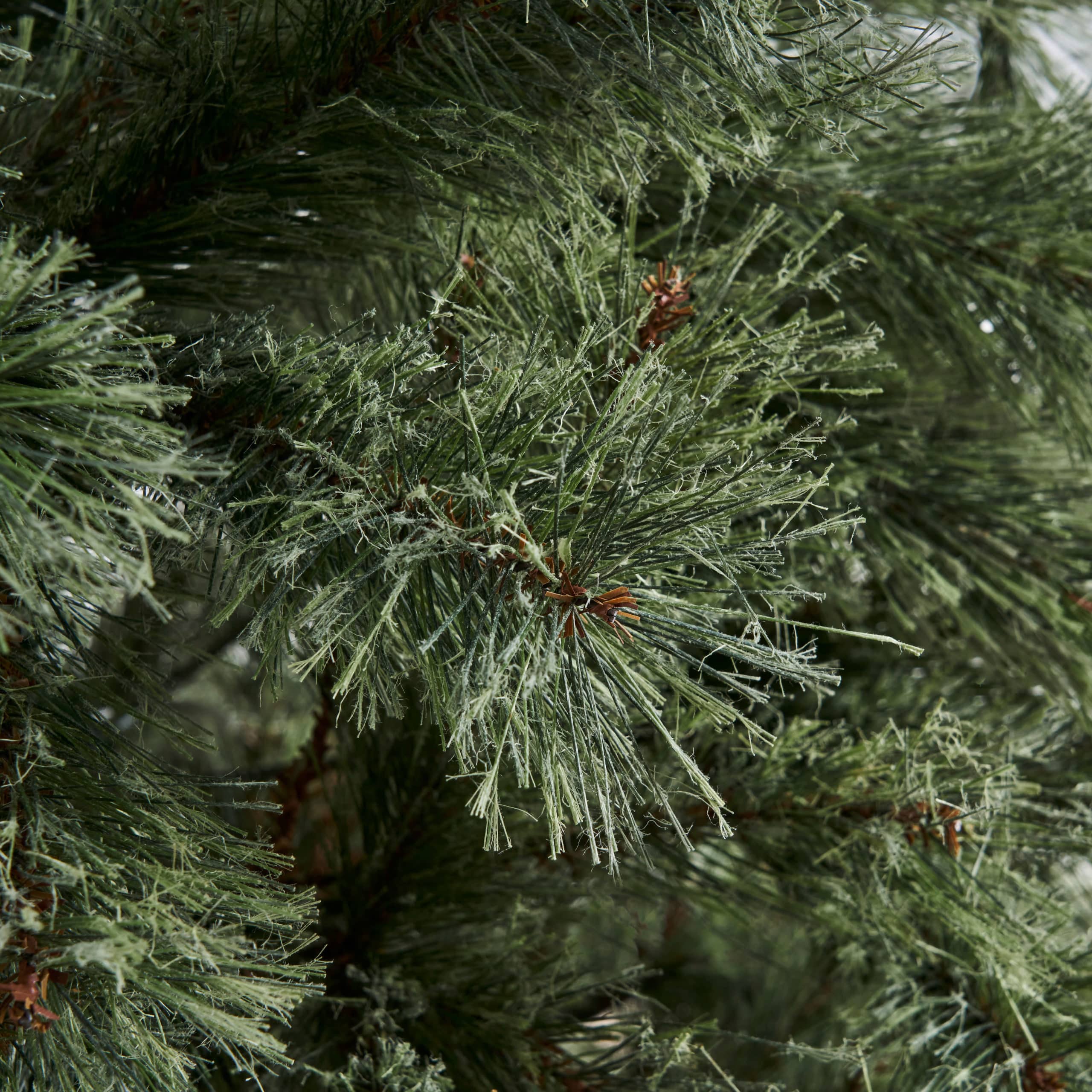 Amazzonia - Cashmere Pine - Image 3