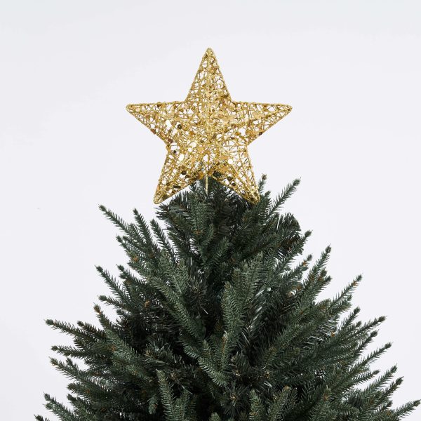Gold Alpi Star / Silver Stella Star Tree-Topper