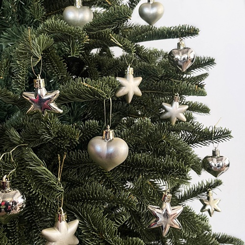 STELLEUR Heart & Star Ornament Set - Gold by Masons Home Decor - Christmas Tree Singapore