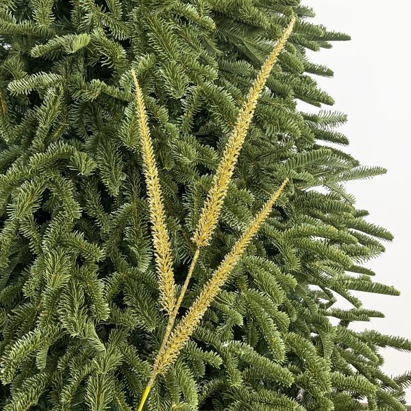 LUNETH Tall Taper Grass Spray – Gold Christmas Ornament by Masons Home Decor - Christmas Tree Singapore