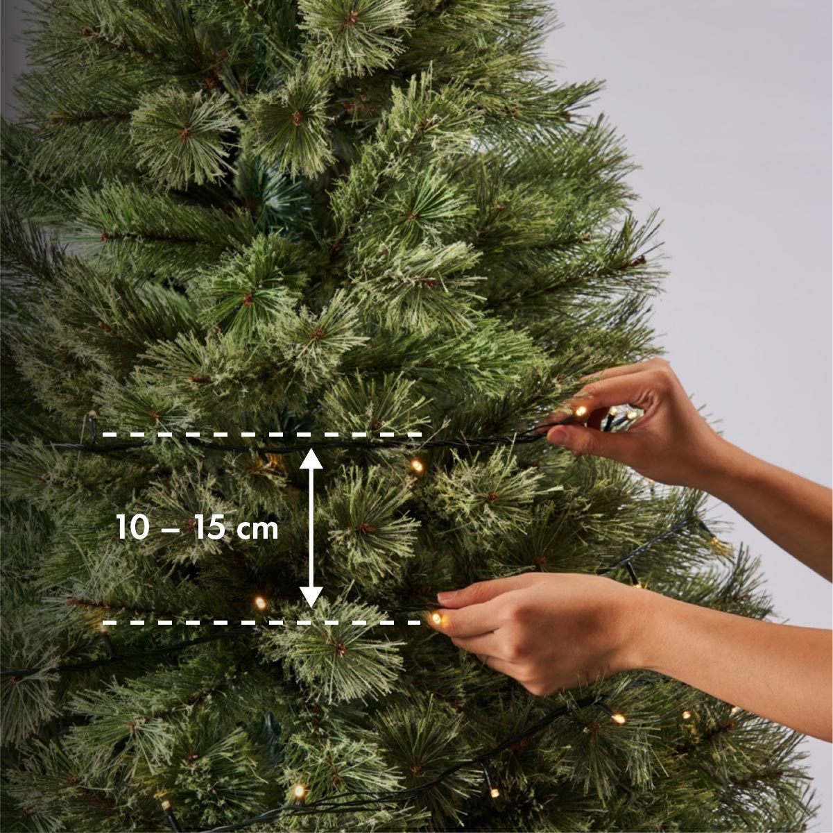 Stringing the lights on a Christmas tree
