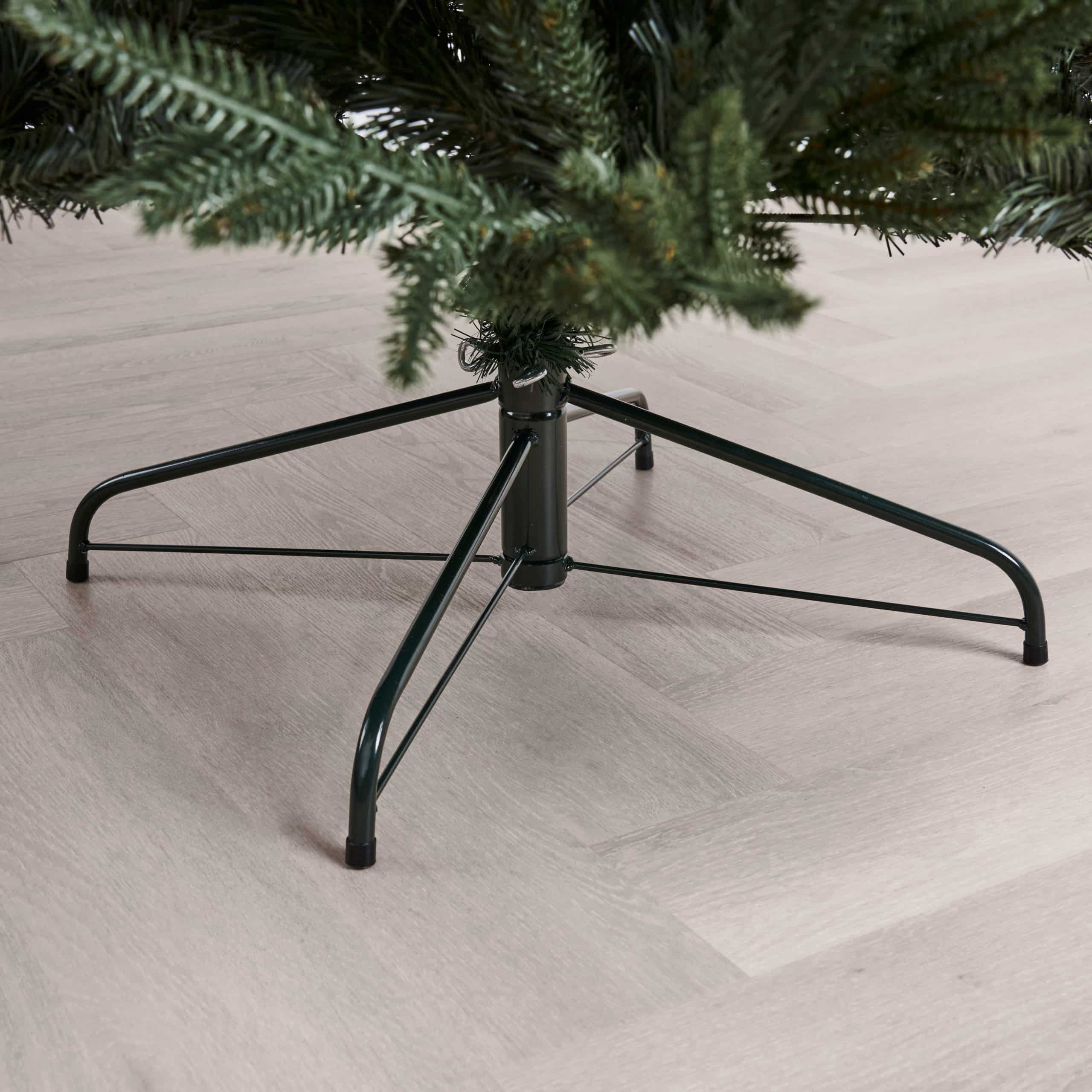 Belmont - European Silver Fir - Image 4