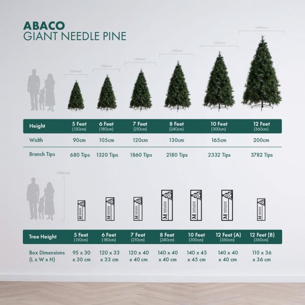 Tree Height and Packaging Comparison Table for the Abaco Giant Needle Tree