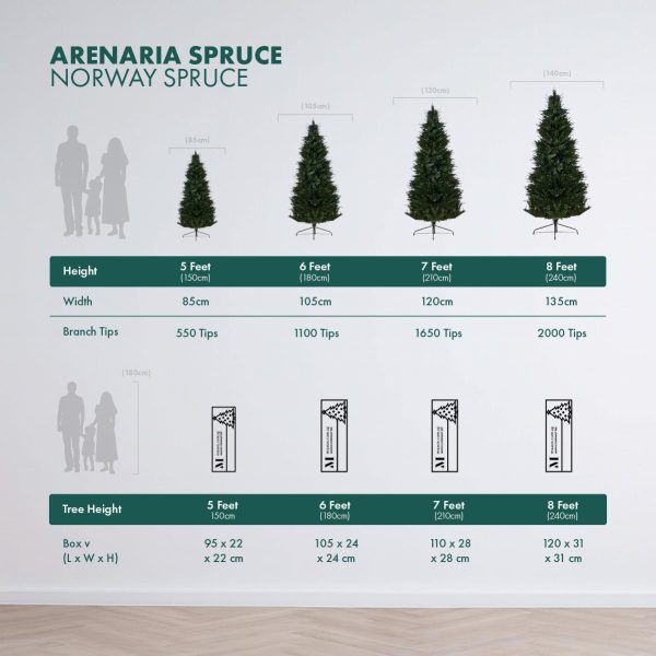 Tree Height and Packaging Comparison Tables Arenaria Spruce