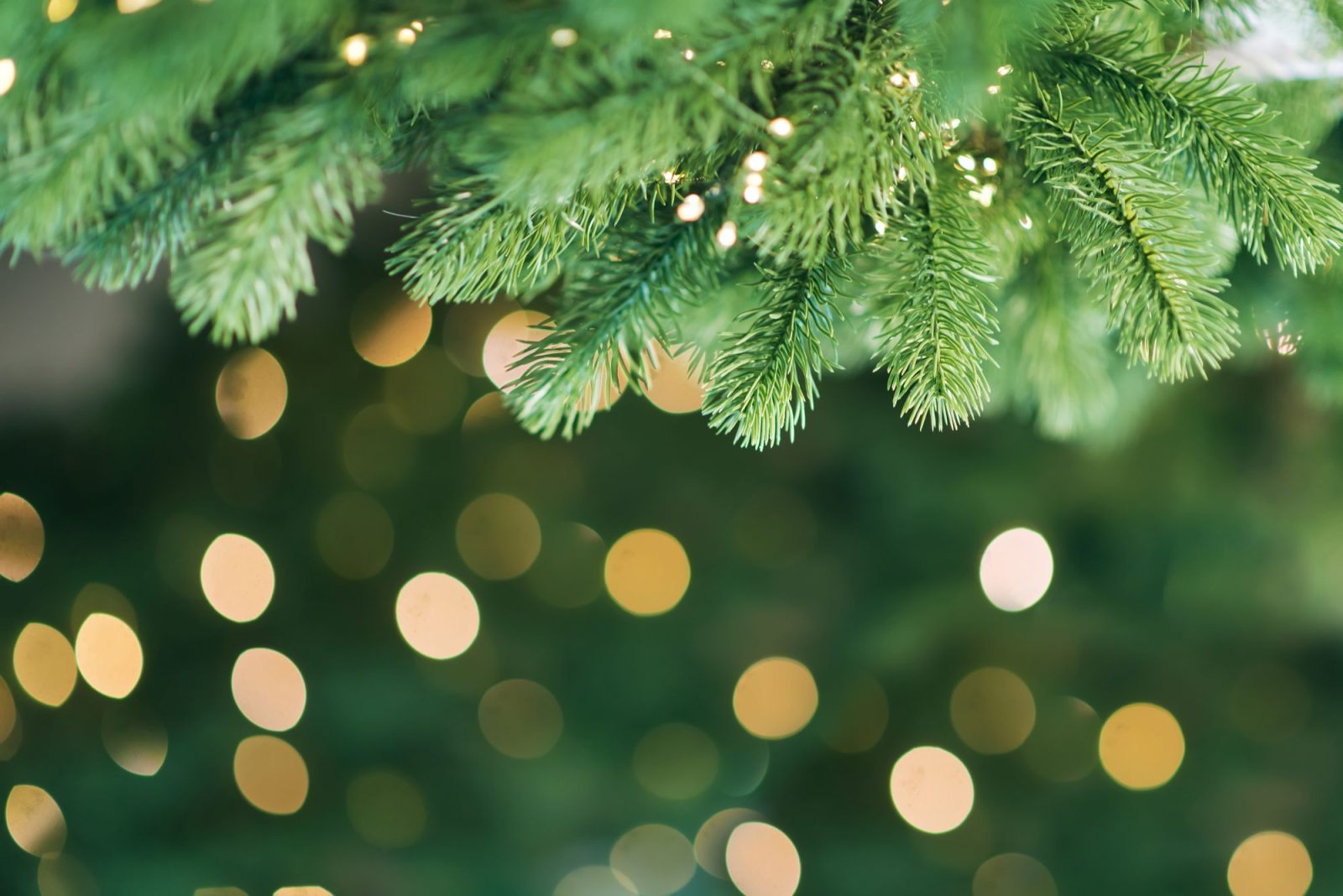 Green Christmas background